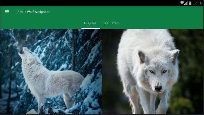 Android 用の 北極ウルフ動物の壁紙 Apk をダウンロード