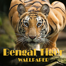 Bengal Tiger Animal Wallpaper APK