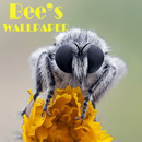 Bee Animal Wallpaper APK