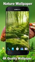 HD Amazing Nature Wallpaper 4K - Best Mobile Affiche