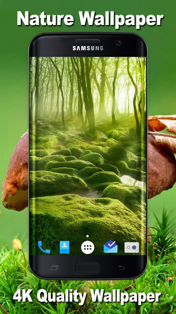 HD Amazing Nature Wallpaper 4K - Best Mobile APK pour Android Télécharger HD Amazing Nature Wallpaper 4K - Best Mobile APK pour Android Télécharger