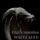 Black Mamba Animal Wallpaper-APK
