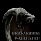 ikon Black Mamba Animal Wallpaper