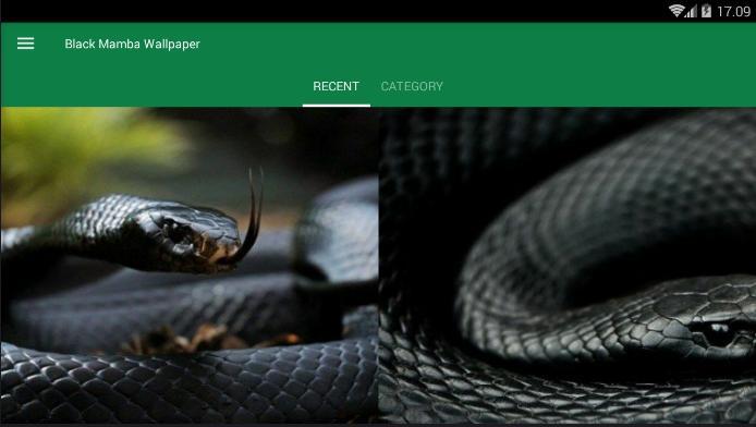 Download 400+ Wallpaper Black Mamba HD Download 400+ Wallpaper Black Mamba HD