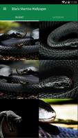 Black Mamba Animal Wallpaper poster