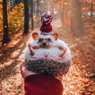 Nature's Companions