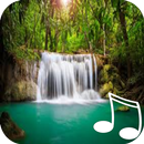 Nature Sounds Relax & Sleep APK