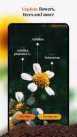Plant-X, Plant Identification-poster