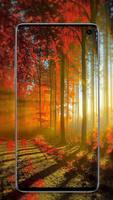 nature wallpaper screenshot 3