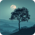 Beautiful Nature Wallpapers HD