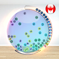 Lotto Machine Canada