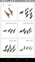 دليل الطيور في الشرق الأوسط تصوير الشاشة 1