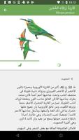 دليل الطيور في الشرق الأوسط تصوير الشاشة 2