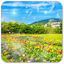 APK Nature Wallpaper