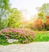 Nature Wallpaper تصوير الشاشة 1