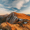 nature quotes