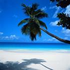 Icona Nature wallpapers and backgrounds