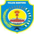 Icona Prima Bintuni