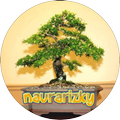 Bonsai designs