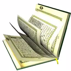 AlQuran Arabic (16lines 16-30) APK Herunterladen