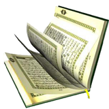 AlQuran Arabic (16lines 16-30) 图标