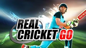 Real Cricket™ GO Cartaz