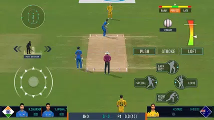 Real Cricket™ 24 XAPK download