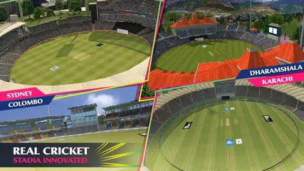 Real Cricket™ 24 XAPK download