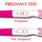Pregnancy Test App Guide simgesi
