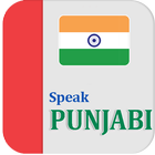 Learn Punjabi icono