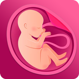 Schwangerschaftswochen-Tracker