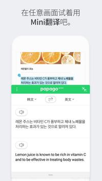 Naver Papago - AI 翻译 截图 7