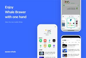 Naver Whale Browser Cartaz