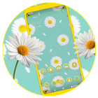 Daisy Flower Theme icône