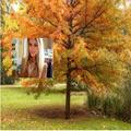 Fall Photo Frames 2023