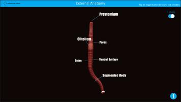 Dissection Lab screenshot 1