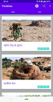 Bible Parables पोस्टर