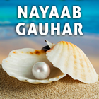 Nayaab Gauhar icône
