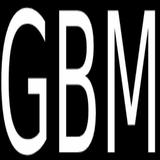 GBM Traffic Dubai icône