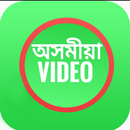 Assamese Video Status Download App Funny Sad Love APK