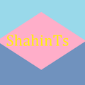 ShahinTs