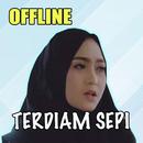 Hits Nazia Marwiana Offline APK