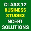 Class 12 Business Studies NCER