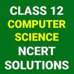 Class 12 Computer Science NCER