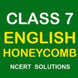 Class 7 English Honeycomb NCER biểu tượng
