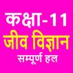 कक्षा 11 जीव विज्ञान Biology