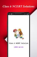 Class 6 NCERT Solution Affiche