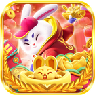 Matching Rabbits simgesi