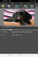 PhotoPad 写真編集ソフト screenshot 1