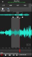 WavePad音频和音乐编辑器 โปสเตอร์